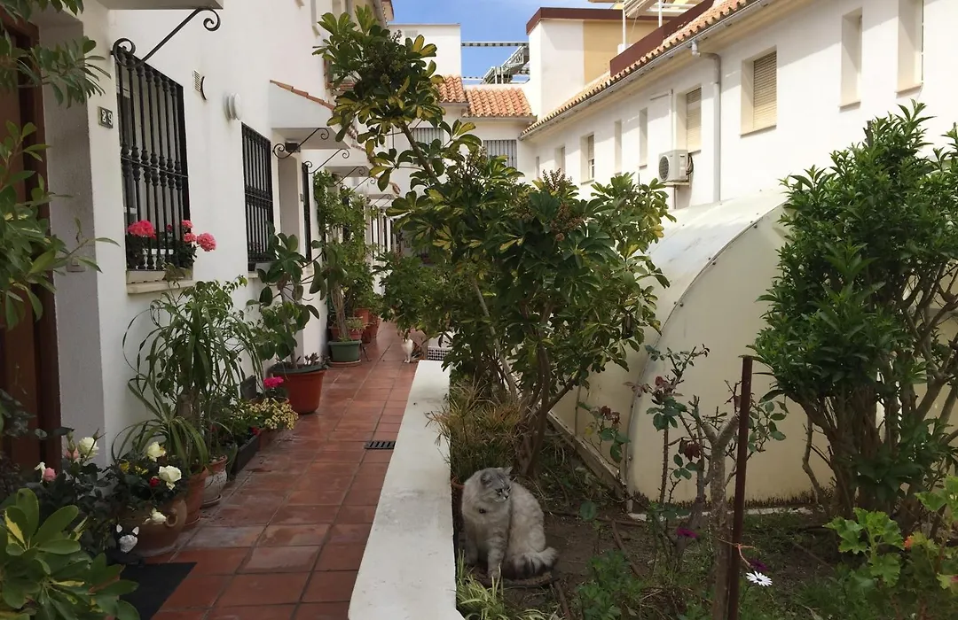 El Cortijuelo. Magnificent Triplex Terraced House With Rooftop Of 18M2, Overlooking The Sea. Parking-1